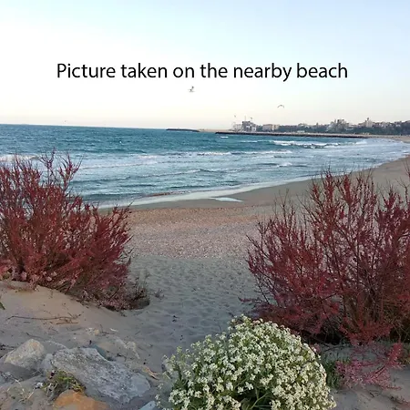 Budget-Friendly 2Br Apartment Near The Sea - Smart Layout For Privacy Constanta