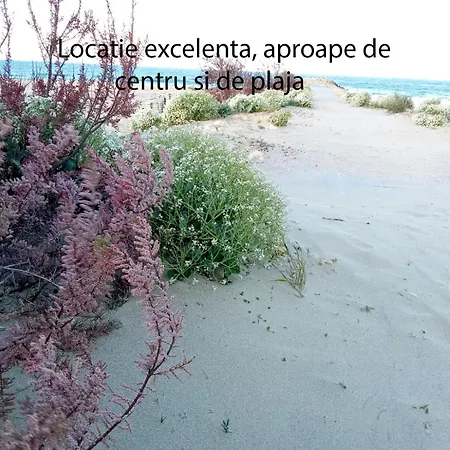Budget-Friendly 2Br Apartment Near The Sea - Smart Layout For Privacy * Constanta