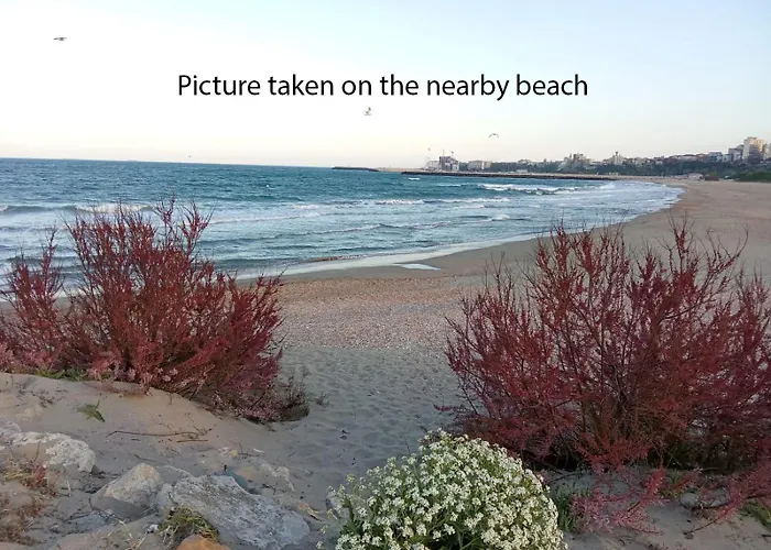 Budget-friendly 2br Near The Sea - Smart Layout For Privacy Köstence